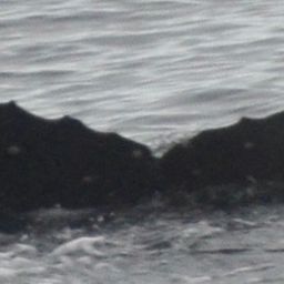 Fluke of HW-MN1302484