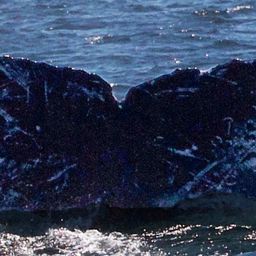 Fluke of CRC-11574