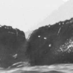 Fluke of Hakai