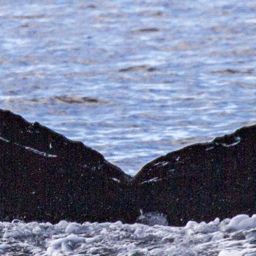Fluke of CRC-18580