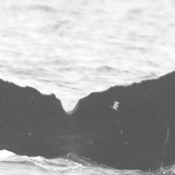 Fluke of SEAK-2742