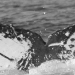 Fluke of HW-MN0441742