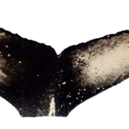Fluke of ESPHW-ACMA#0021