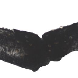Fluke of ESPHW-CEQUA_ANT#0033
