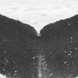 Fluke of HW-MN0441832