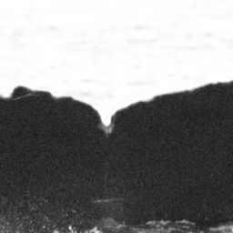 Fluke of BCX0542
