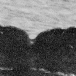 Fluke of SEAK-1115