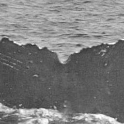 Fluke of HW-MN0441827