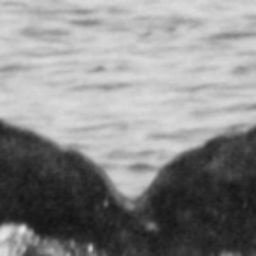 Fluke of HW-MN0441826