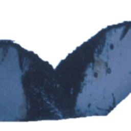 Fluke of ESPHW-EC#0032