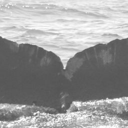 Fluke of CRC-10955