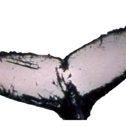 Fluke of Juanita