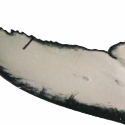 Fluke of ESPHW-MBS#1071