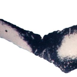 Fluke of ESPHW-MBS#0094