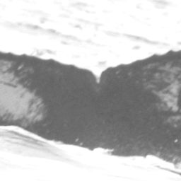 Fluke of CRC-12048