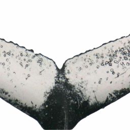 Fluke of ESPHW-MBS#1093
