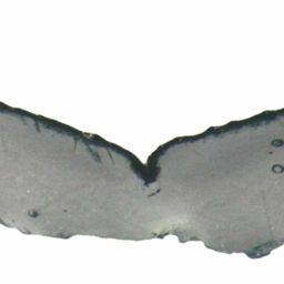 Fluke of ESPHW-MBS#1096