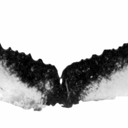 Fluke of ESPHW-MBS#0719