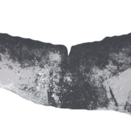 Fluke of ESPHW-MBS#1914