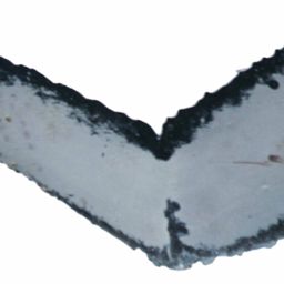 Fluke of ESPHW-MBS#1836