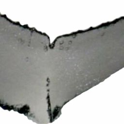 Fluke of ESPHW-MBS#0629