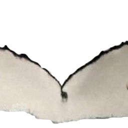 Fluke of ESPHW-MBS#0654