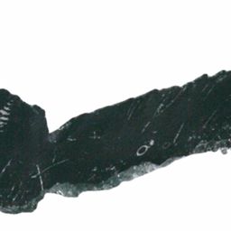 Fluke of ESPHW-MBS#1509
