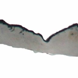 Fluke of ESPHW-MBS#0792