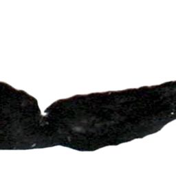 Fluke of ESPHW-MBS#0553