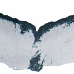 Fluke of ESPHW-MBS#1403