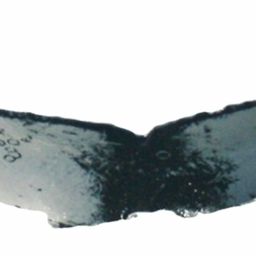 Fluke of ESPHW-MBS#1405