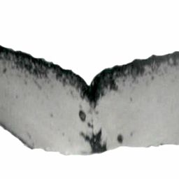 Fluke of ESPHW-MBS#0679