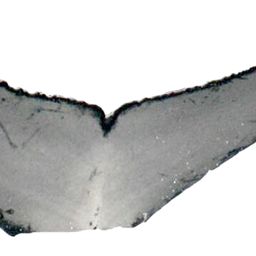 Fluke of ESPHW-MBS#0562