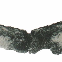Fluke of ESPHW-MBS#1325