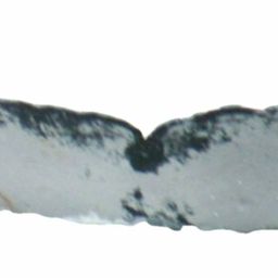 Fluke of ESPHW-MBS#1437