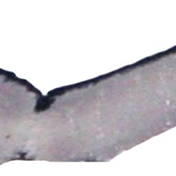 Fluke of ESPHW-MBS#1270