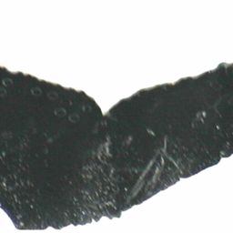 Fluke of ESPHW-MBS#1160