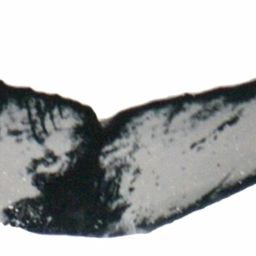 Fluke of ESPHW-MBS#1282