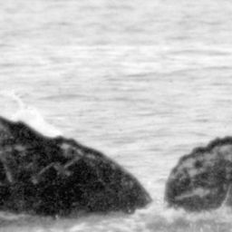 Fluke of HIHWNMS-2017-3-29_G01A07