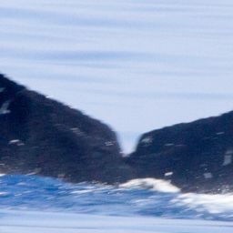 Fluke of HIHWNMS-2016-4-1_G04_A01