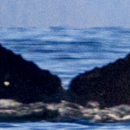 Fluke of SEAK-5502