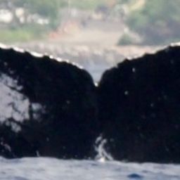 Fluke of HIHWNMS-2011-3-8_A01