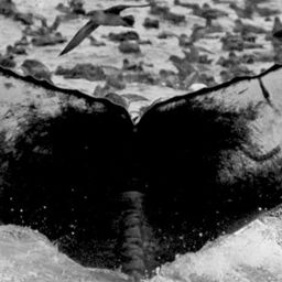 Fluke of HIHWNMS-2013-1-25_G3_A2