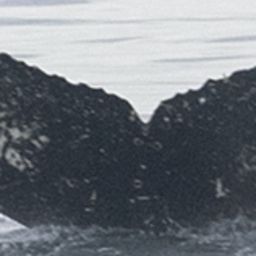 Fluke of HW-MN1302628