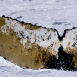 Fluke of HW-MN1302742