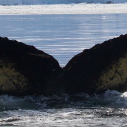 Fluke of HW-MN1302824