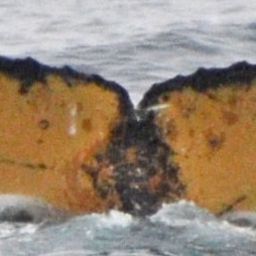 Fluke of HW-MN1302826