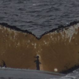 Fluke of HW-MN1302829