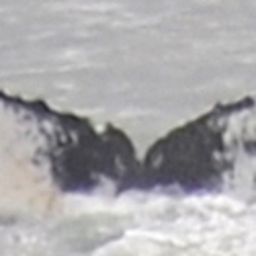 Fluke of HW-MN0430014