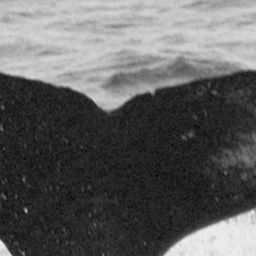 Fluke of HW-MN0500552